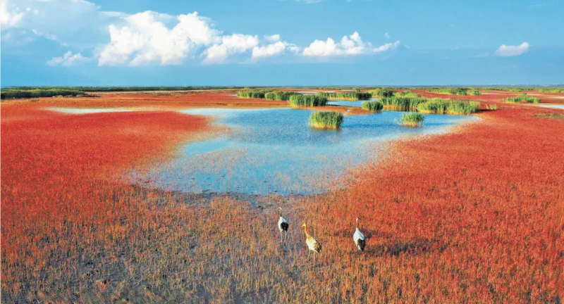 《旗帜》刊发自然资源部党组署名文章《自然资源部：推动自然资源安全高效永续利用》
